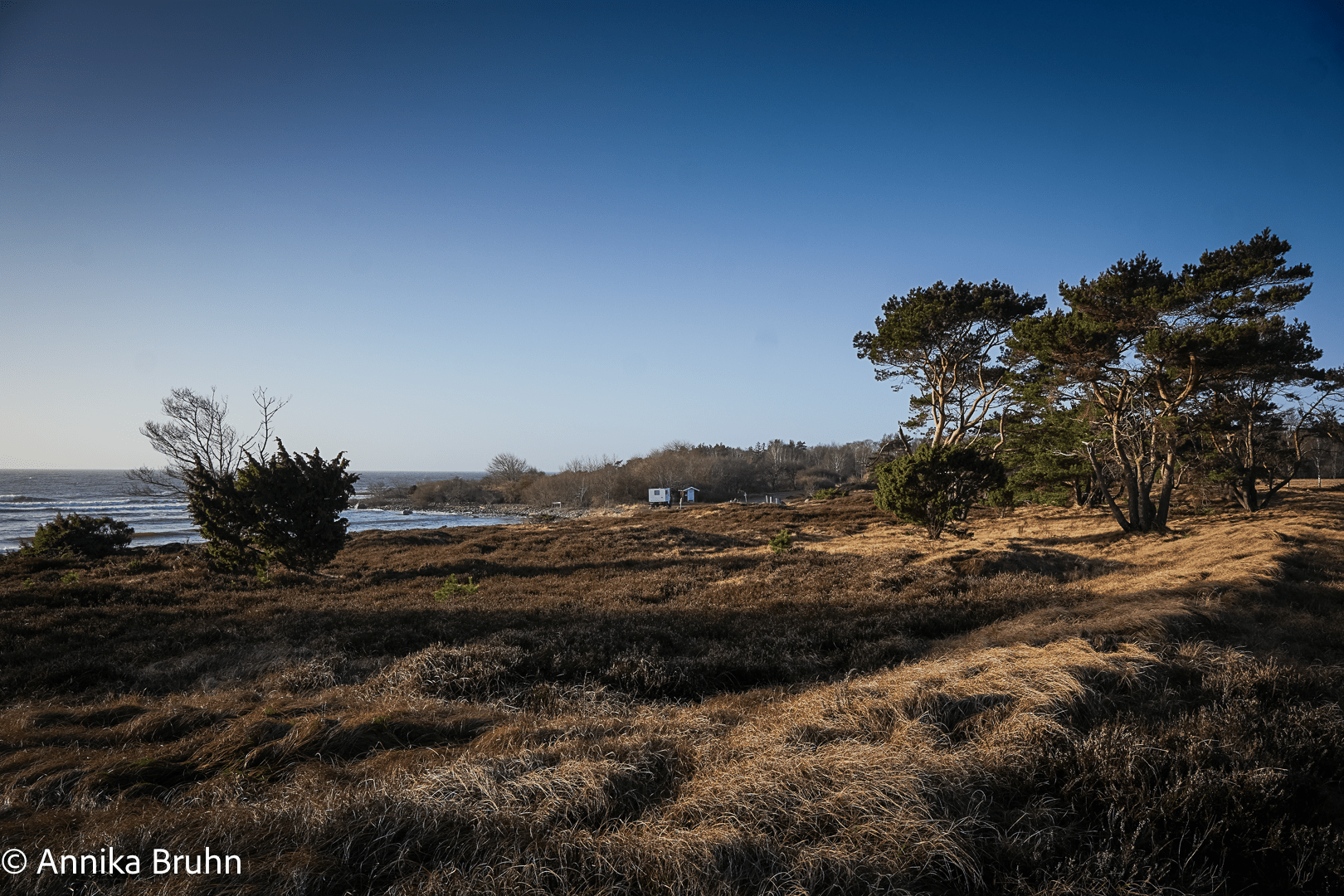 Suchbild vo ist Karl